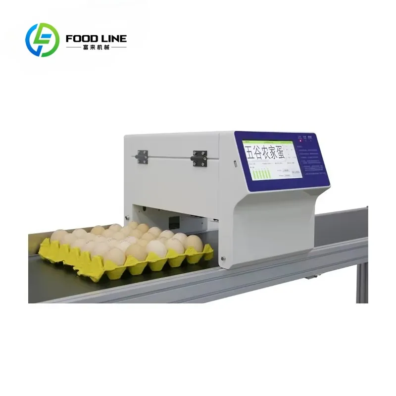 Six Heads Logo Expiry Date Eggs Printer Conveyor Price Batch Expiry Date Coder Printing 6 Heads Online Inkjet Printer for Egg