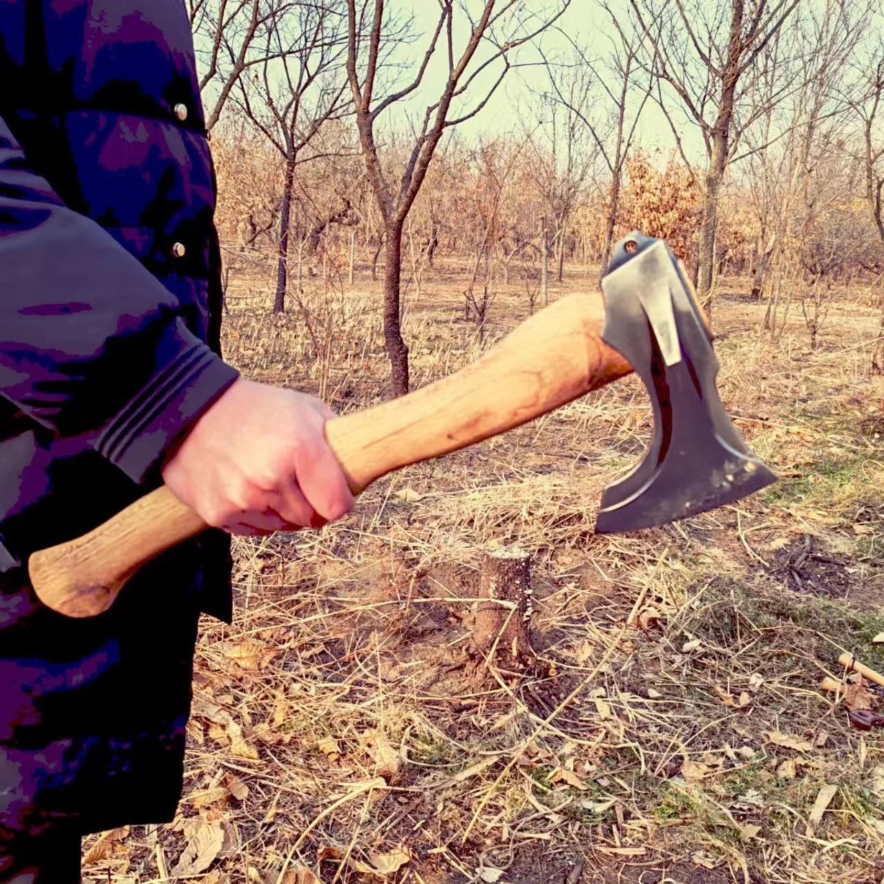 

Multi-Functional Aircraft Axe Whole Forged Head for Chop Tree Firewood Camping Axe Handmade Forged