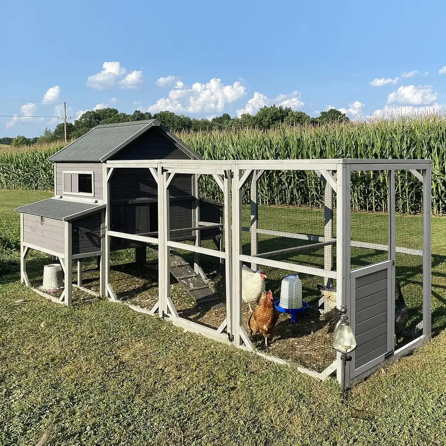 Chicken Coop 55Ft² … - image