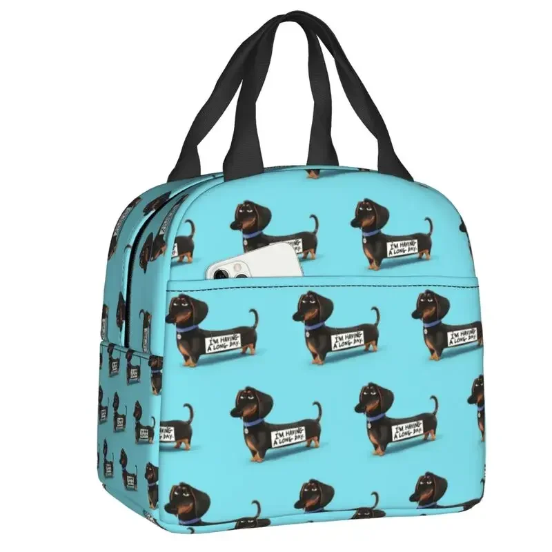 Bolsa de almuerzo con aislamiento para cachorros divertidos de perro salchicha para mujer, refrigerador térmico impermeable para mascotas, fiambrera para playa, Camping, viaje