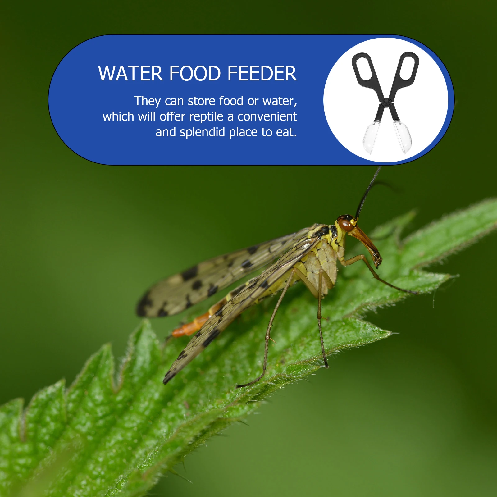 

Reptile Terrarium Clip Insect Feeding Tong Eco Friendly Reptile Supplies Pet Accessories Vivarium Tool Worm Grabber