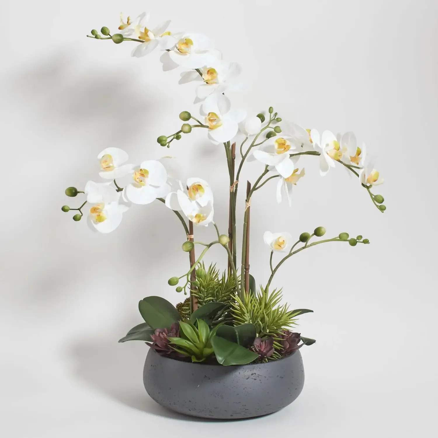 

Faux Orchid Plant w/Succulents, Premium Artificial Indoor Flower Display Stands 24” w/Beautiful Sculptural Blooms and Succulents