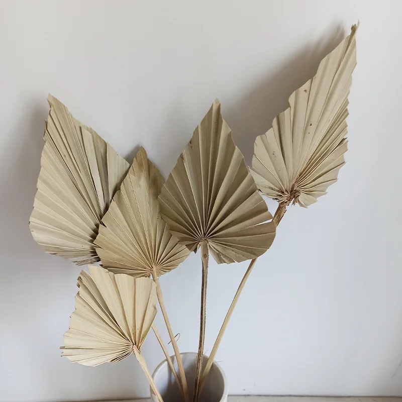 

1Pcs Dried Flower Avalokitesvara Cattail Fan Nordic Sunflower Palm Leaf Home Decor DIY Wall Hanging Wedding Arrangement Material