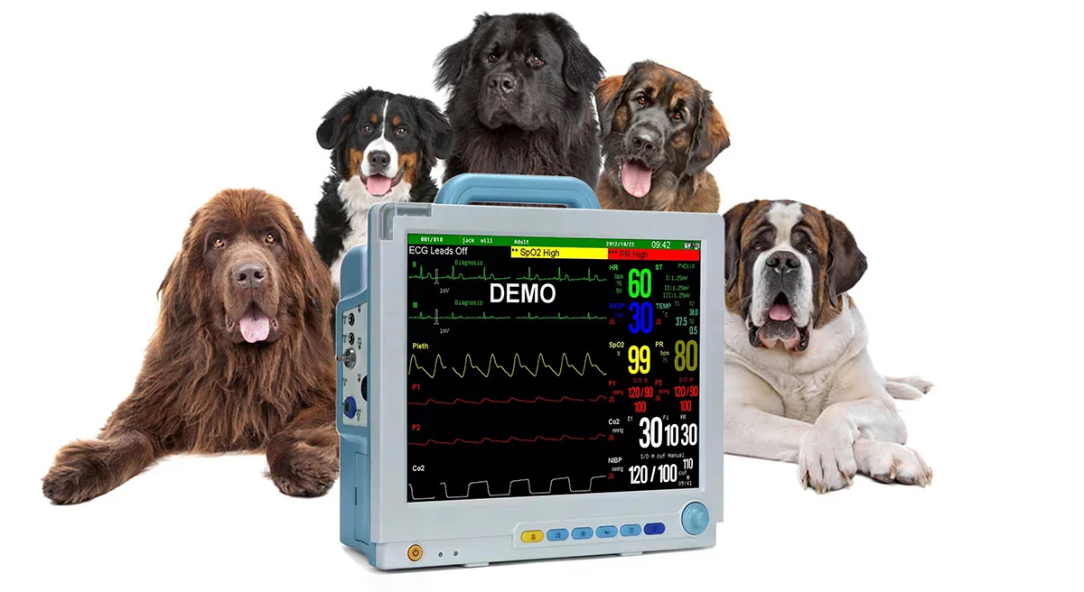 Animal Hospitals Equipment 15 Inch 5 ParametersVeterinary Monitors for Sale