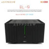 BL-9 T9.4 HI-END 초고속 전력 클래스 AB DE 909 225--450W 기반 완전 대칭 X-Amp 전력 증폭기 베이스 2