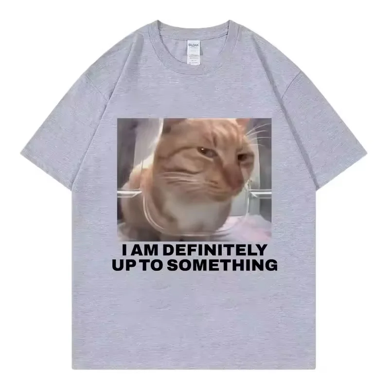 I Am Definitely Up To Something Funny Cat Meme T-shirt High Street Fashion Trend Women Casual Harajuku Short Sleeve Casual