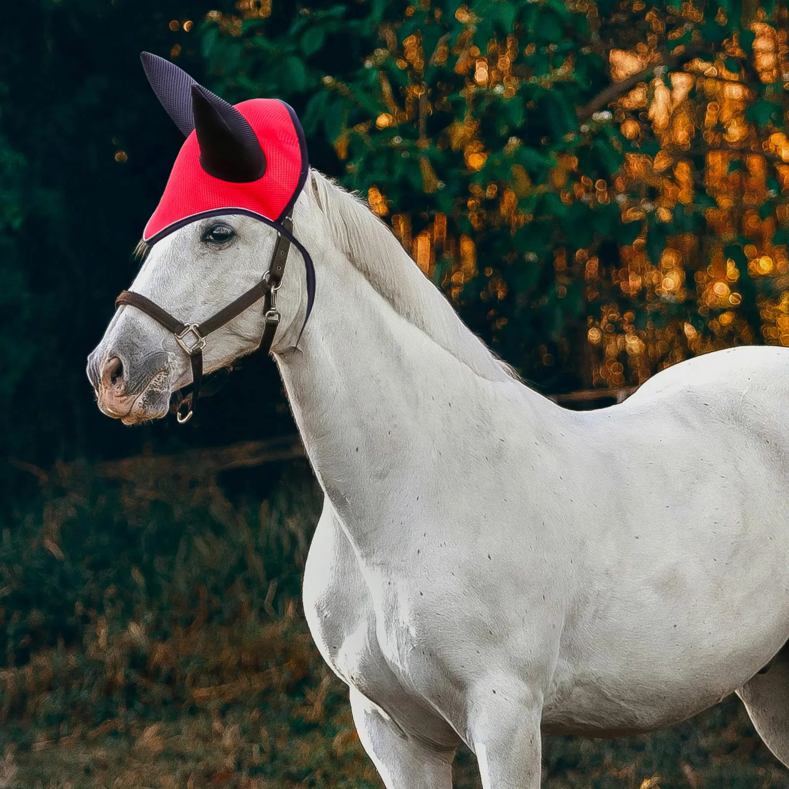 غطاء أذن الحصان قناع الذبابة القابل للتنفس للحماية في الهواء الطلق من نسيج شبكي قوي مريح مناسب لسلالات مختلفة