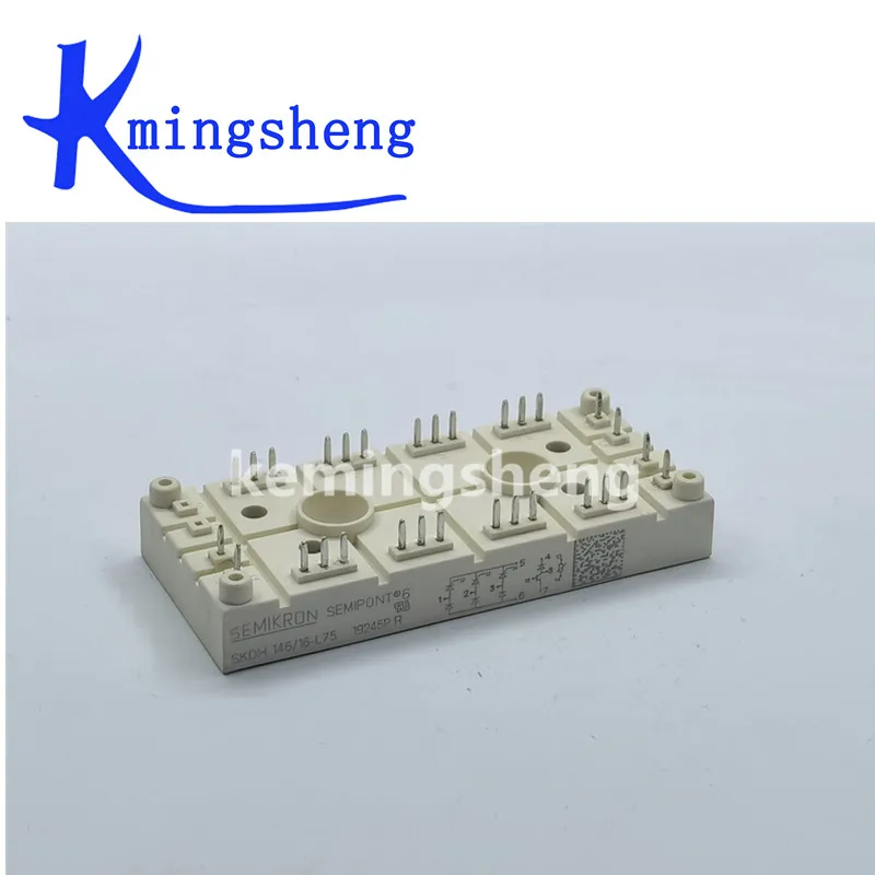 

SKDH146/16-L75 SKDH116/16-L100 SKDH146/16-L105 SKDH146/16-L140 SKDH146/16-L105 FREE SHIPPING NEW AND ORIGINAL MODULE