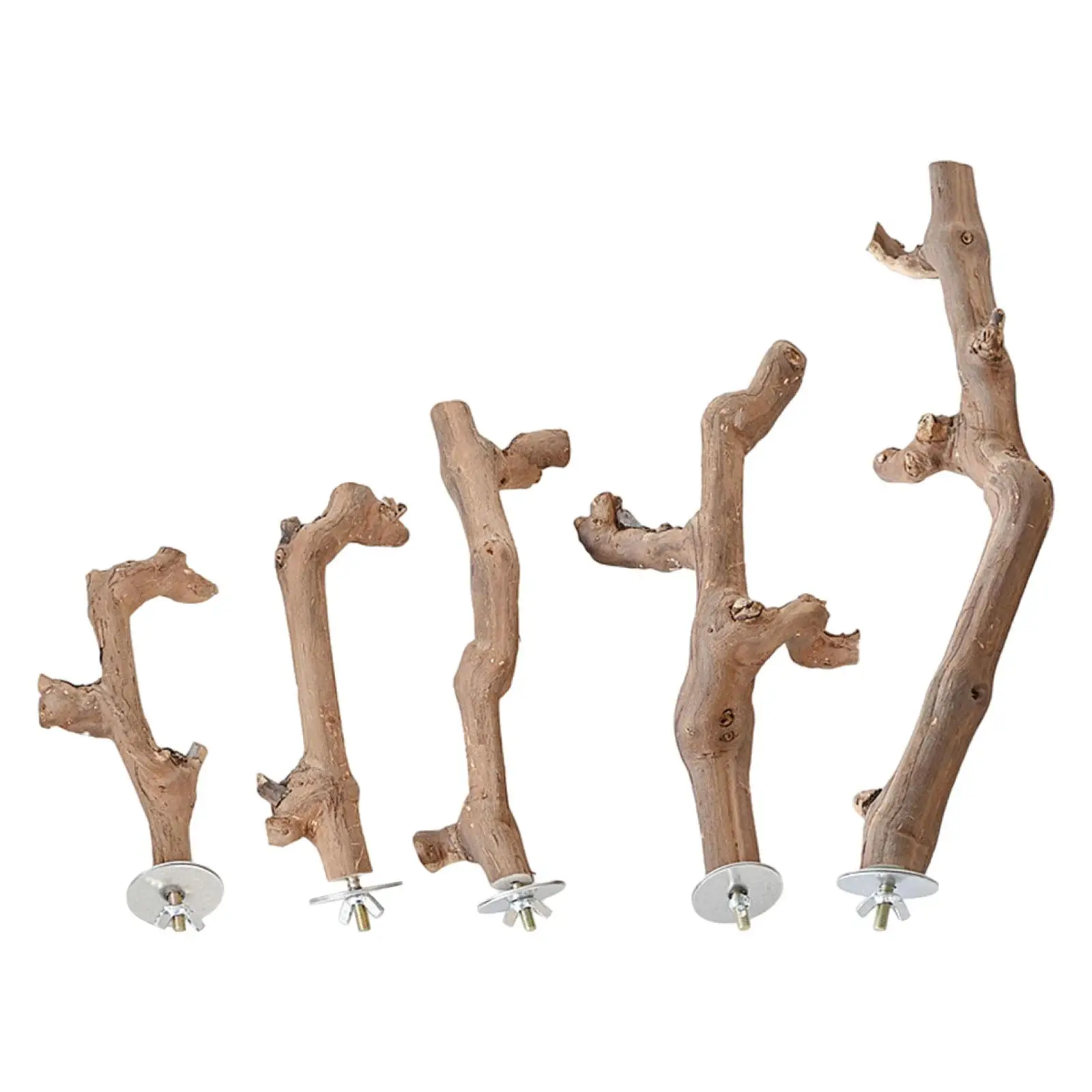 Percha de madera con ventosa, juguete de escalada, jaula para loros, pájaros pequeños y medianos, cacatúa, colibrí