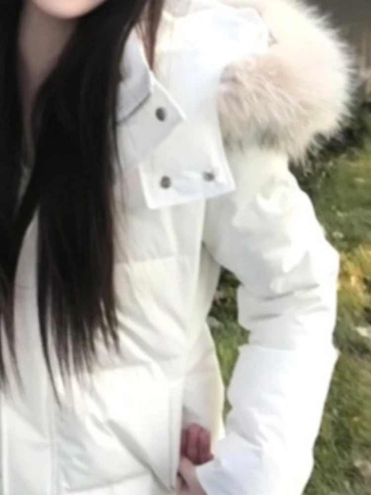 Korean Fashion Elegant Short Puffer Hoodie Coat Women Slim Fit Zipper Fur Collar Thick Warm Parkas Winter Casual Retro Chic Tops