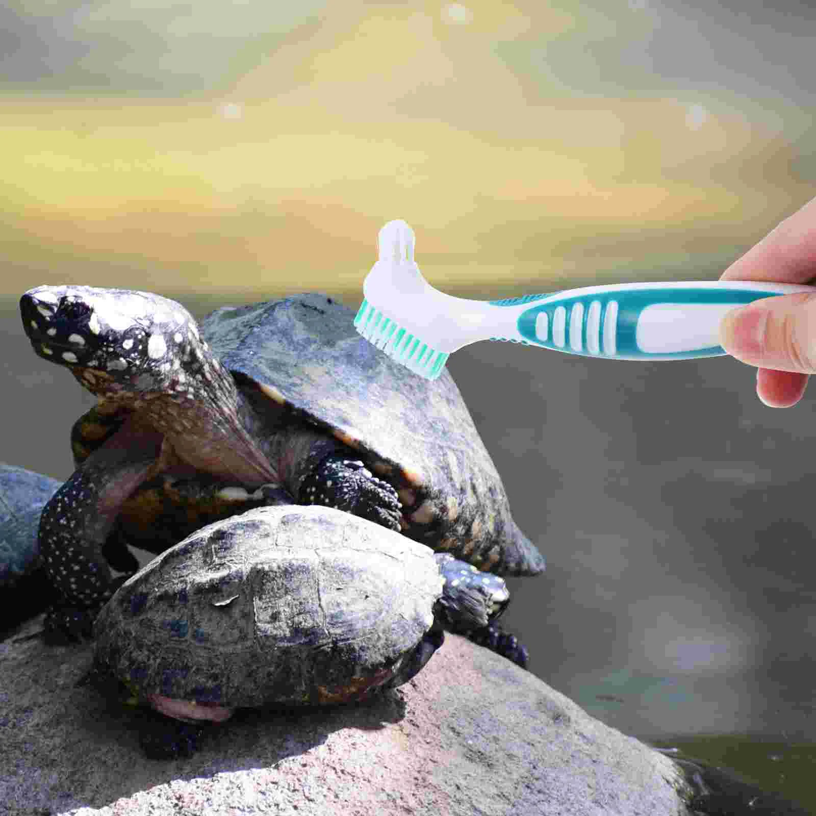 Turtle Shell Cleaning Brush Double-sided Tortoise Grooming Personal Denture Mini Plastic Multi-functional