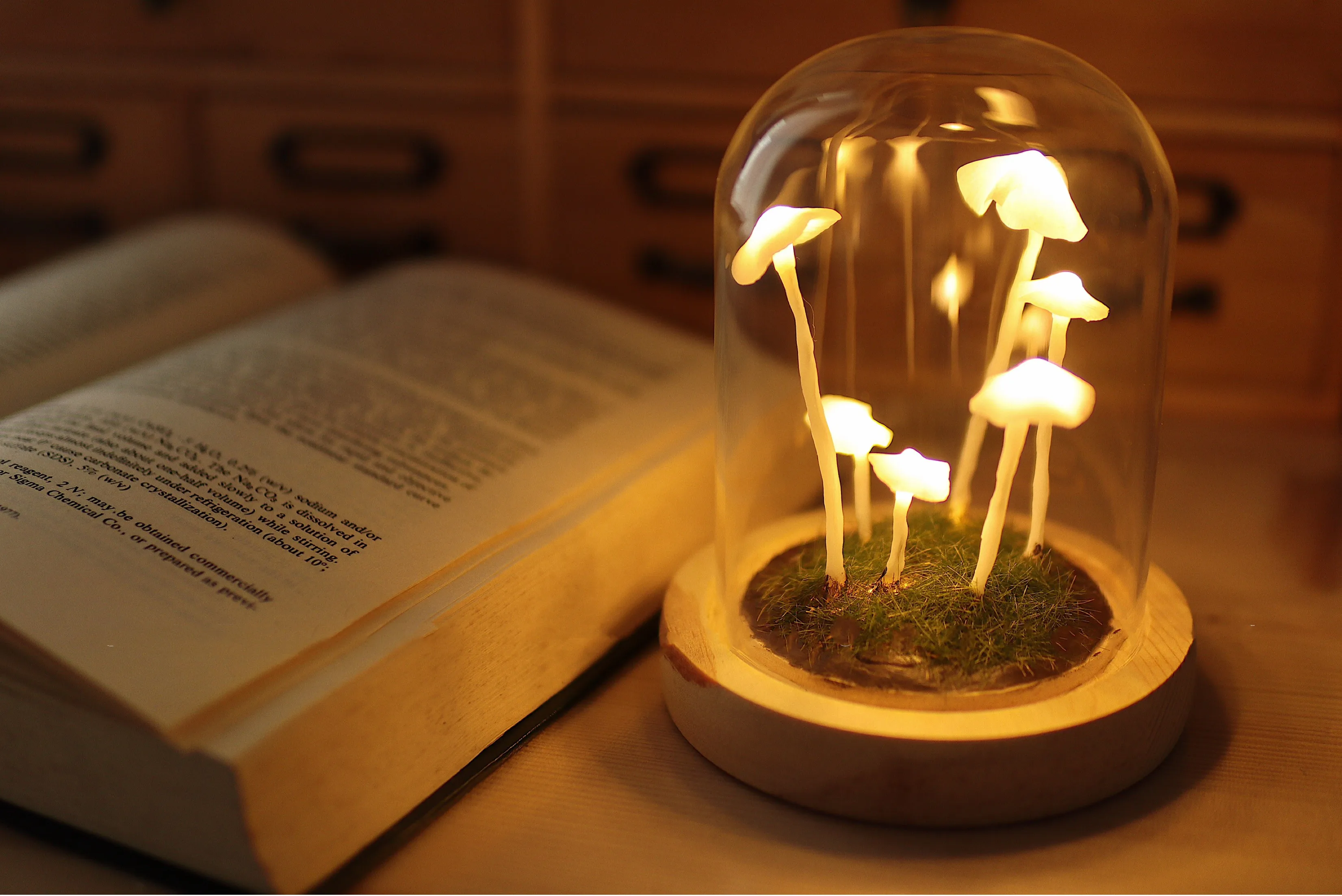 Led Room Decor Night Lights DIY lamp Tulip Flowers Mushroom Agaric Bedroom New Year Christmas Material nightlight Gift for Kids
