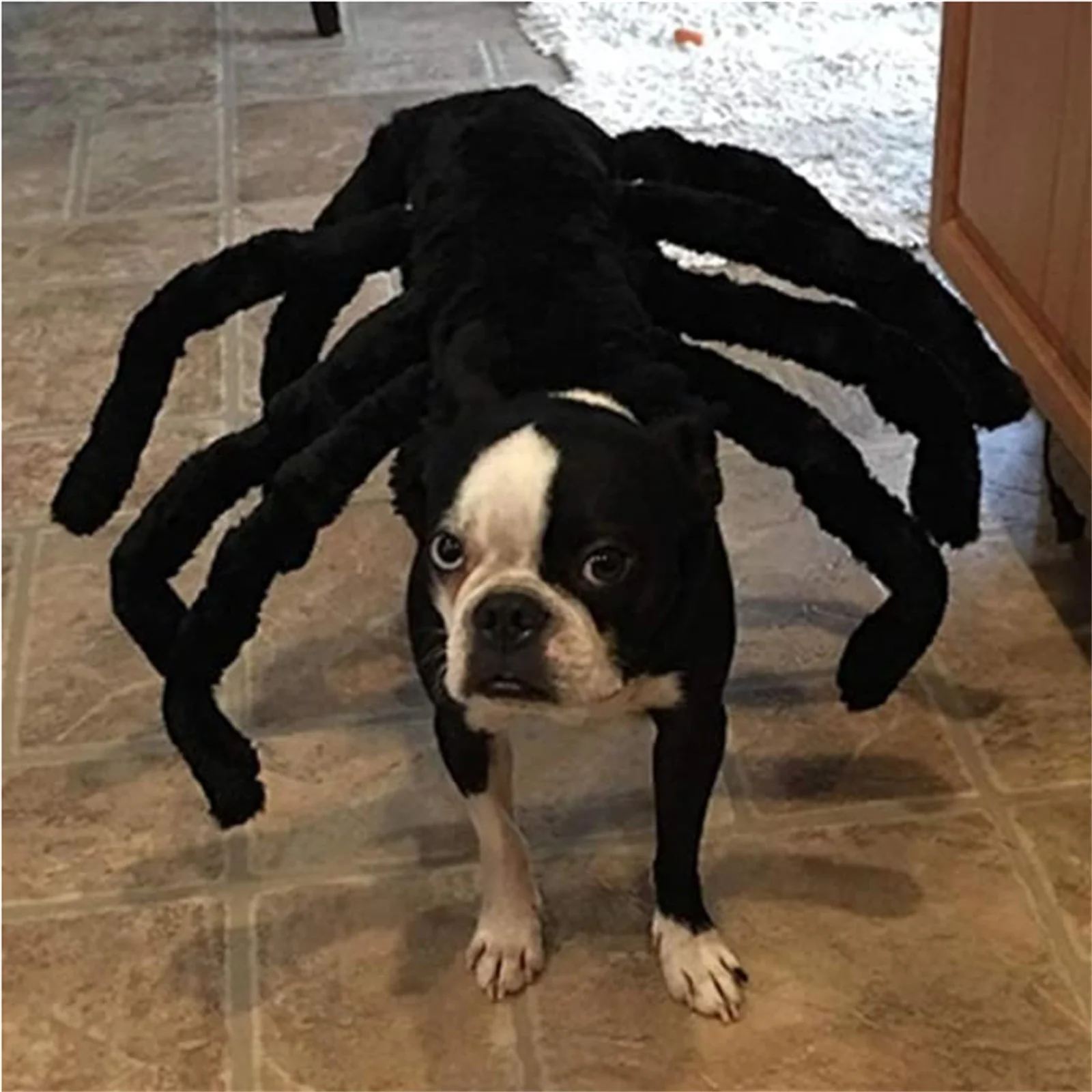 Pet Dog Halloween Spider Costume 8 Spider Wing Cosplay Clothes for Small Medium Dogs Puppy Cat Kitten Outfits Dress up Party