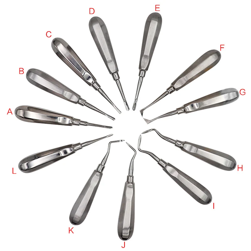 12PCS/Set Stainless Steel Dental Elevator Teeth Extraction Tools Kit Stright Curved Root Elevator Dentist Tools