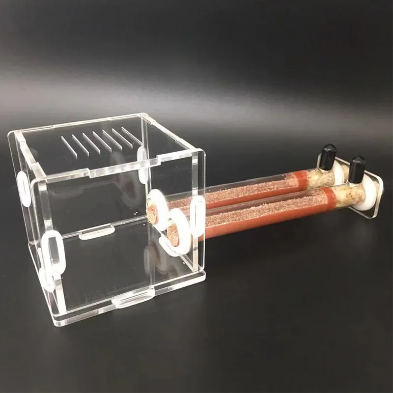 DIY Various Size Ant Farm Bamboo Tube Nest with Feeding Area Pet Anthill Workshop Queen Ant Breeding Nest Ant House Nest Bracket