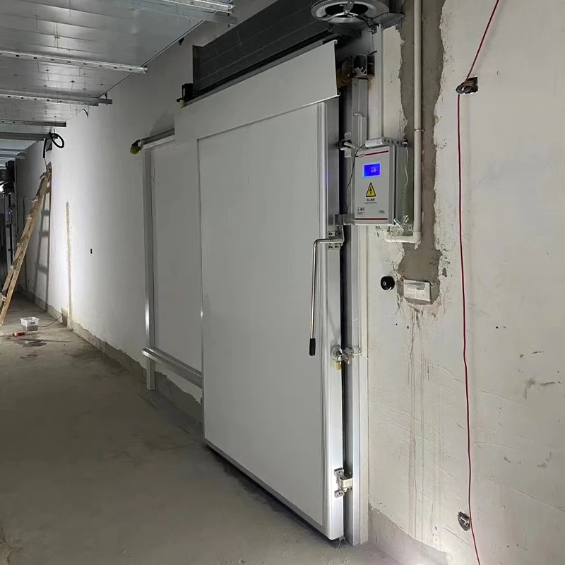 مبرد تخزين بارد تجاري مخصص للمشي في الغرفة لنظام أعمال اللحوم والخضروات والمأكولات البحرية