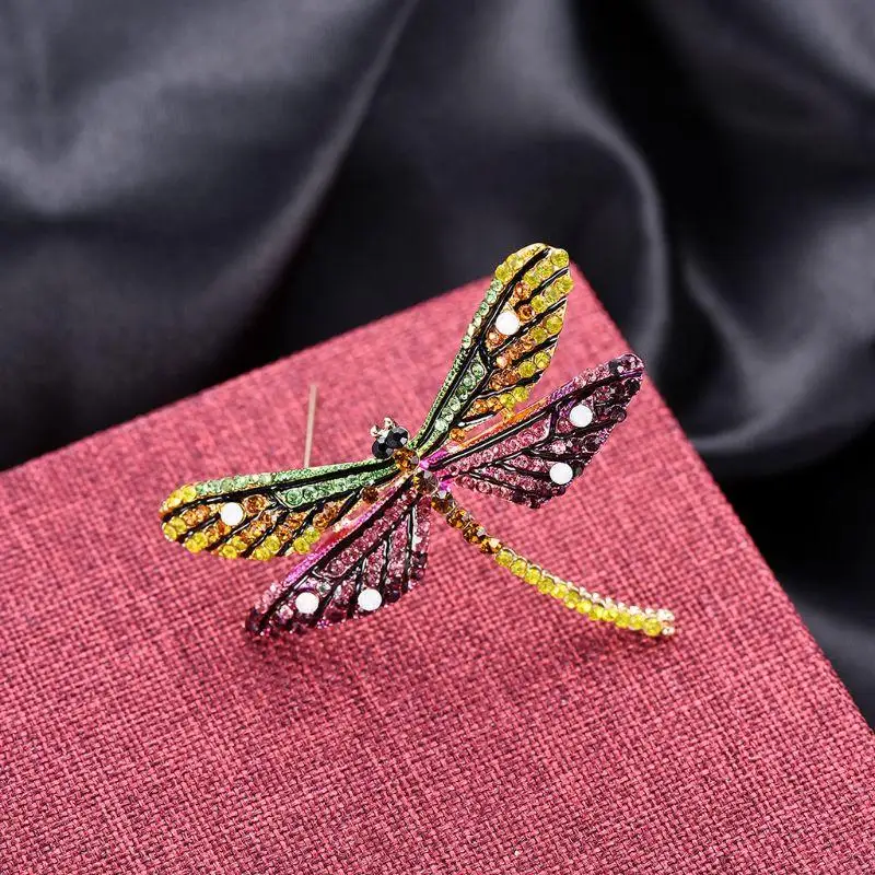 2025 Новые дракоза брошя