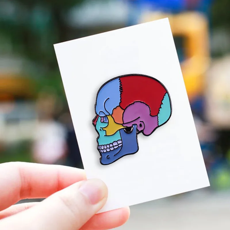 Anatomy Skull Enamel Brooch Color Coded Cranial Bone Medical Diagram Metal Lapel Pin Bag Hat Doctor NurseGothicScienceDecorBadge