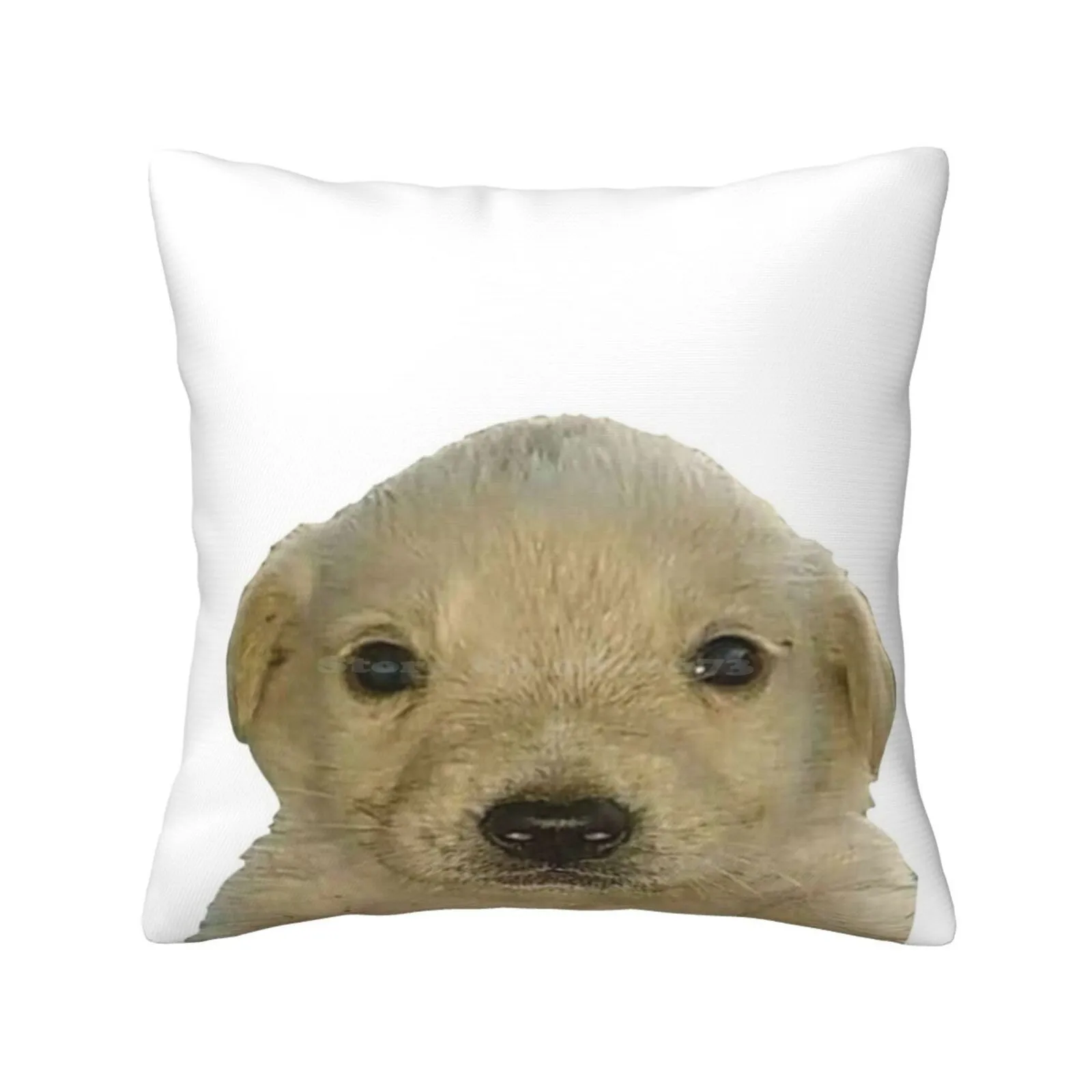 Jotchua Meme Jotchua Dog Pillowslip Pillowcase Jotchua Meme Jotchua Dog Golden Retriever Meme Floppa Bingus Obscure Meme Dog