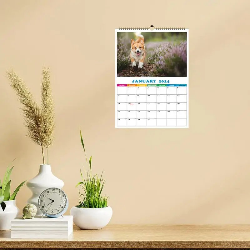 Animals Calendar 2024 Funny Daily Cat Calendar A4 Wall Calendar Dog Calendar Daily Wall Decor For Apartment Dormitory Classroom