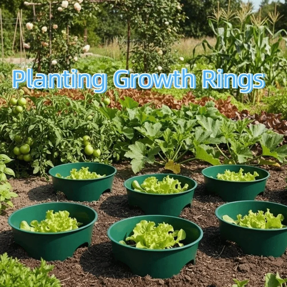 

2 шт. кольца для глубокого полива растений, стимулирующие рост, предотвращающие высыхание корней, защитные кольца для посадки с гладкими краями