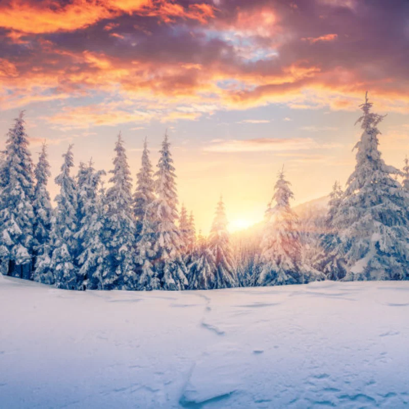 

Металлические модернизированные компоненты крепления хвостового плавника для WLtoys 1/24 244016 LOSI 1/24 Micro-B RC автомобиля, металлическое обновление OP, аксессуары, детали