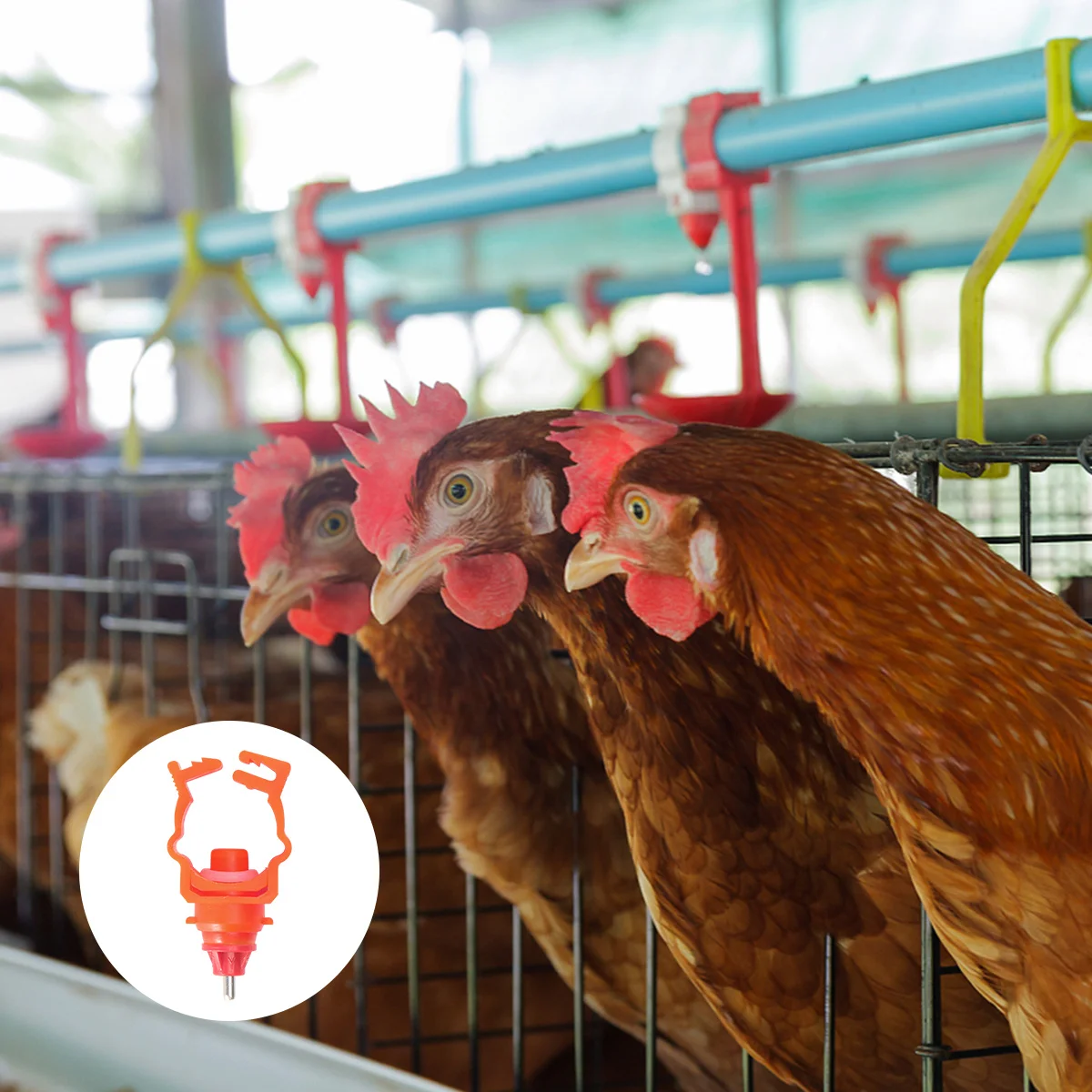 

6Pcs Poultry Water Feeder Spring Clip Style Chicken Waterer Automatic for Ducks Game Birds Pullets Poultry Water Feeder