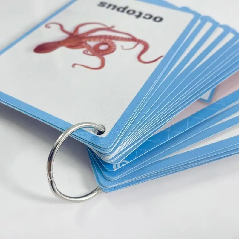 20sheet Sea Animal Vocabulary Flashcards بطاقات كلمات الحياة البحرية لرياض الأطفال #5