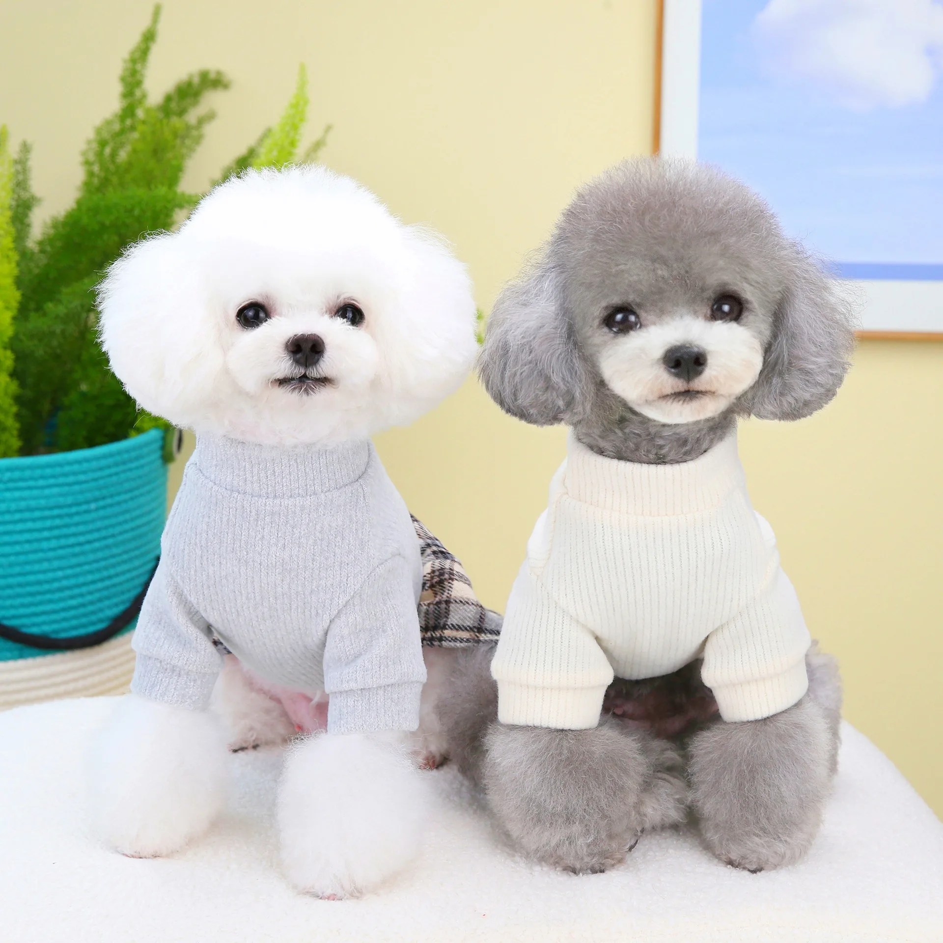 Pet clothes Korean version autumn and winter cat teddy small dog puppy costume college plaid skirt princess