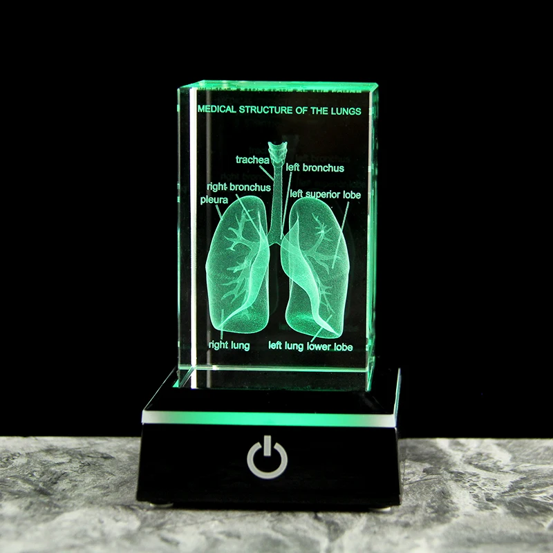 Crystal 3D Laser Engraved Human Anatomical Lung Cube Model Statue Paperweight Respiratory Medical Souvenir Science Gifts