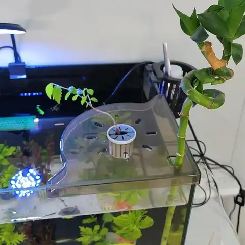 कोरल फ्रैग रैक ऐक्रेलिक मछली टैंक एक्वेरियम कॉर्नर कोरल फ्रैग होल्डर बटन कोरल ब्रोकन फ्रेम एन्हांस्ड सक्शन के लिए 8 best sales मूंगा टुकड़ा - №7