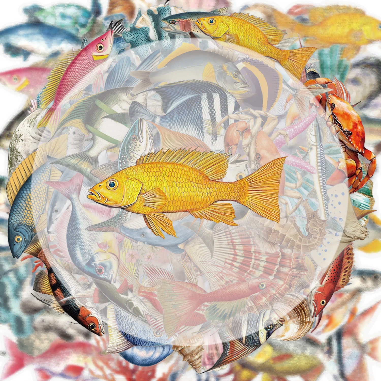 50 Ocean-Themed Stickers, Suitable for Decorating Water Bottles, Laptops, Cell Phones, Suitcases, Skateboards, Guitars, Gift Boxes, and Party Decorations