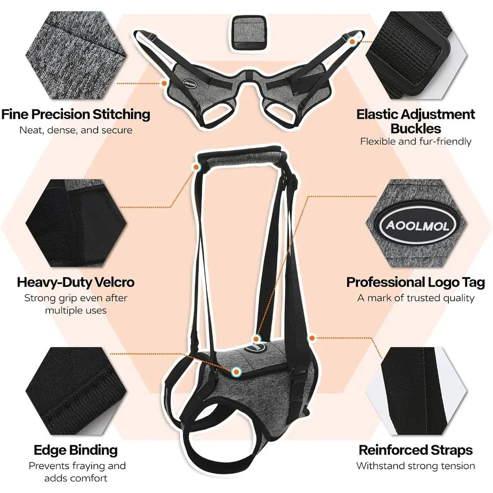 حزام دعم للكلاب الكبيرة ذات الأرجل الخلفية الضعيفة: يساعد على رقعة العضلات وقضايا المفاصل وإعادة التأهيل #2
