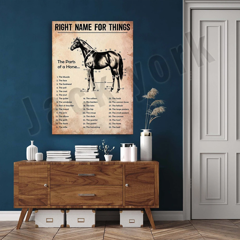 horse anatomy, horse posters, horse art prints, horse decorations, horse wall art, horse lover gifts