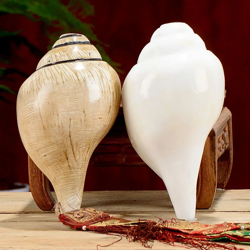 Nepalese Handmade Natural Conch Shells, Buddhist Eight Offerings, Buddhist Ornaments for Buddha Altars, Left-Handed and Right-Ha