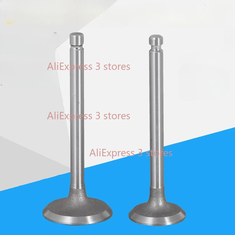 170F 173F 178F 186F 186FA 188F 192F Diesel Engine Generator Accessories Intake and Exhaust Valve