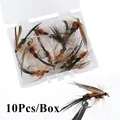 10 Piezas