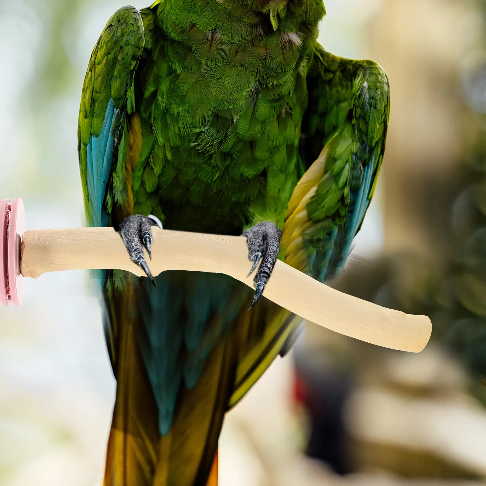 

Solid Wood Bird Stand Parrot Perch Pet Playstand Rough Standing Wooden Perches for Parrots