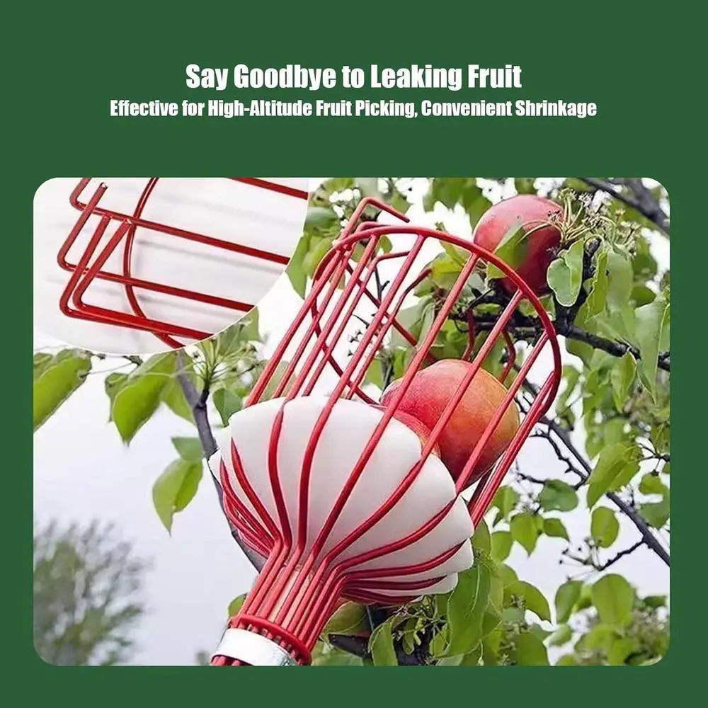 높은 과일을 수확할 수 있는 바구니가 달린 텔레스코핑 수확봉: 아보카도, 도토리, 레몬, 배, 망고