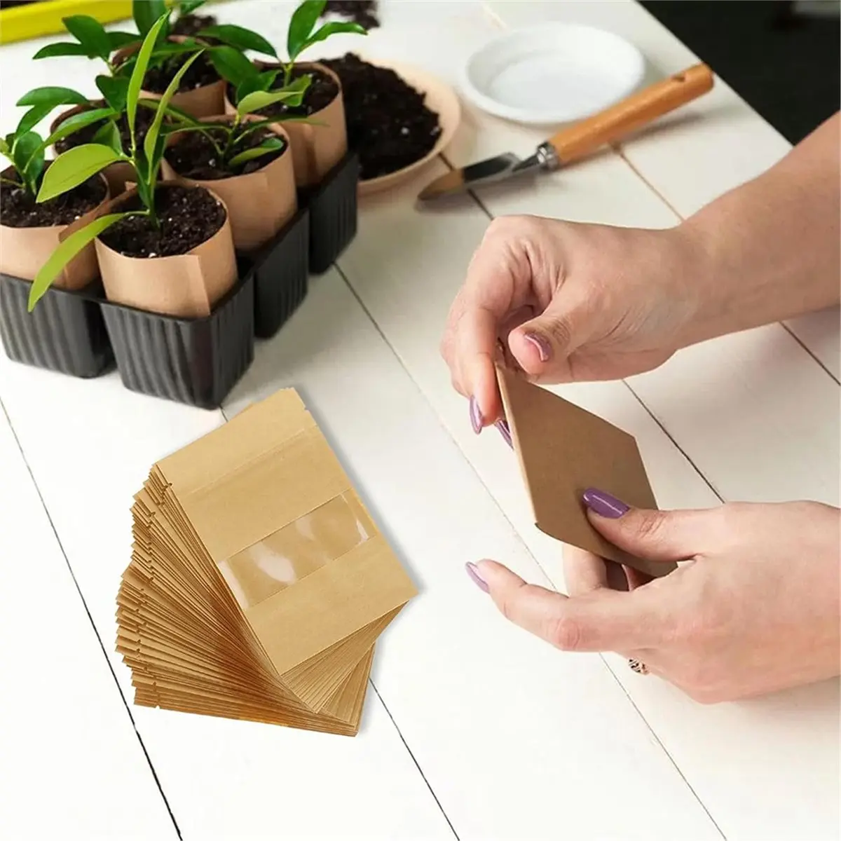 100 Pcs Resealable Paper Seed Envelopes with Clear Window for Coin, Seed, and Flower Plant Storage