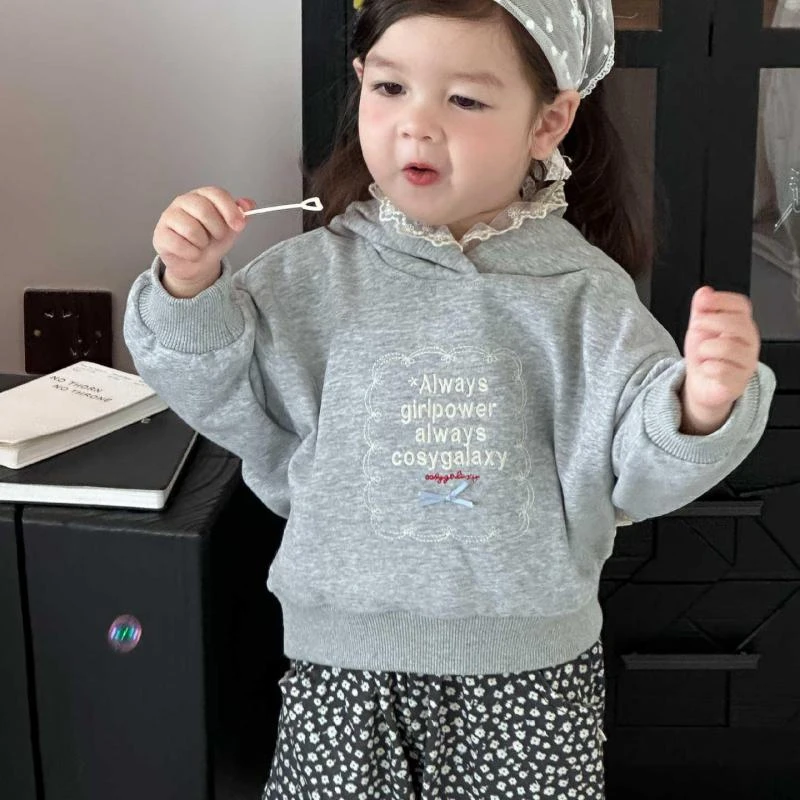 

2025 Autumn New Girls Long Sleeve Casual Sweatshirt Children Letter Embroidery Hoodie Baby Hooded Tops Boys Girls Pullover