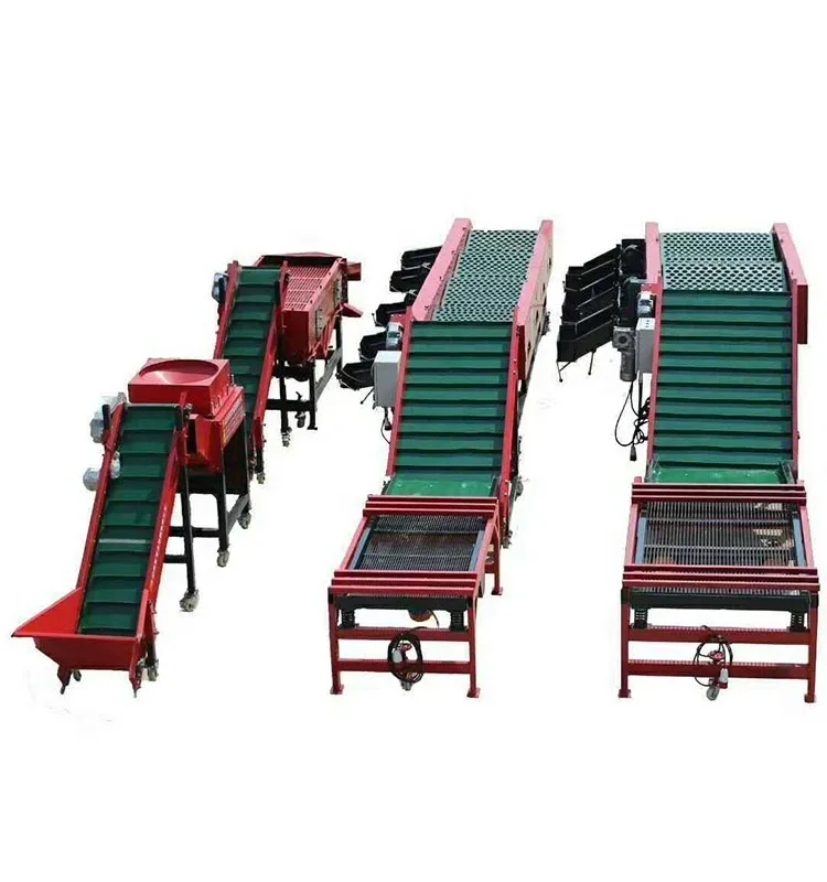 Stainless Steel Machine Garlic Cleaning Garlic Sorting Grading Machine For Sorting