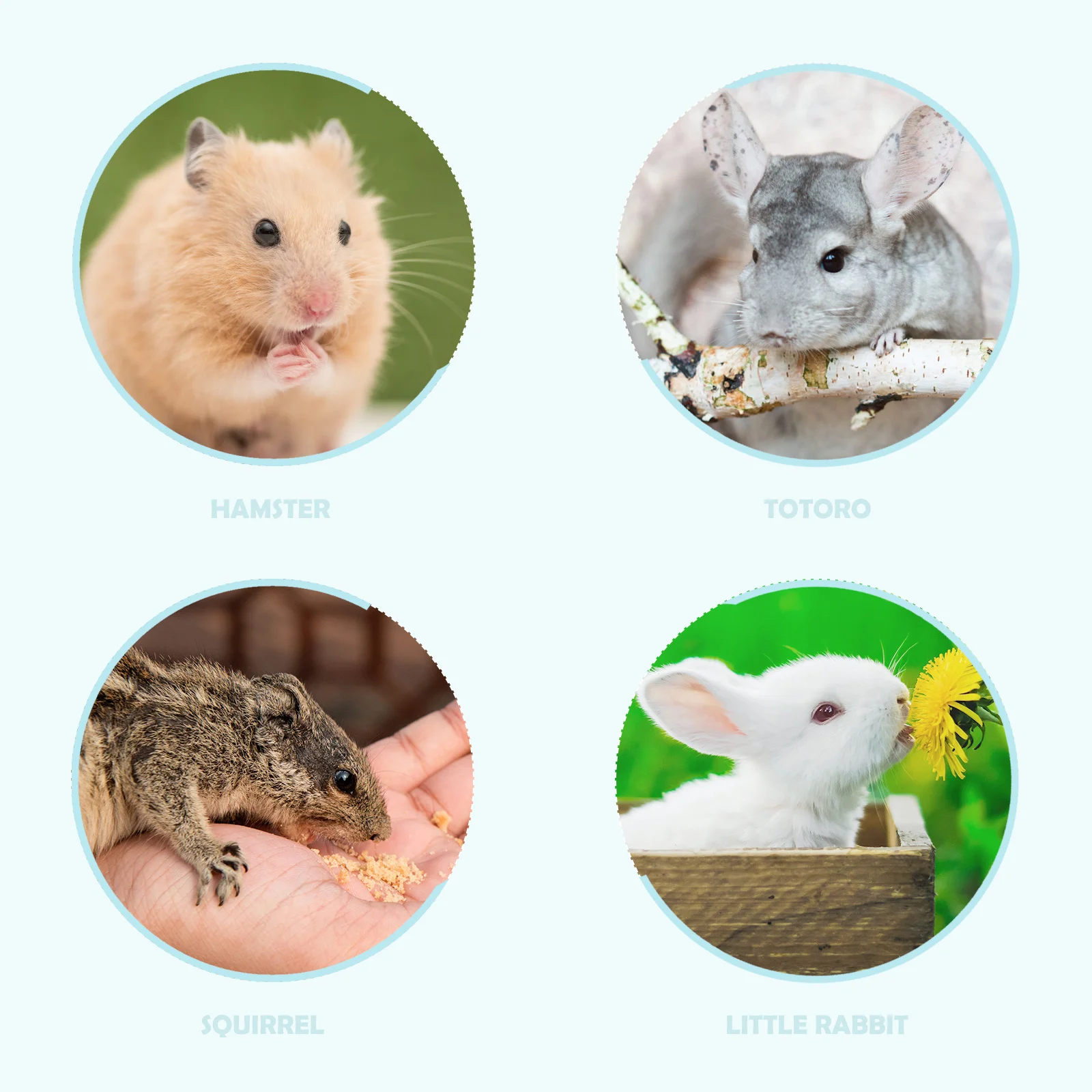 

Paper Sawdust Small Pet Bedding Supplies Soft Absorbent Natural Chips for Hamster Gerbil Guinea Ferret Chinchilla