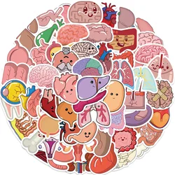 65Pcs Cartoon Human Body Organ Stickers Waterproof Sticker Anatomy Map Decals for Water Bottle Laptop Luggage Phone Kids Toys