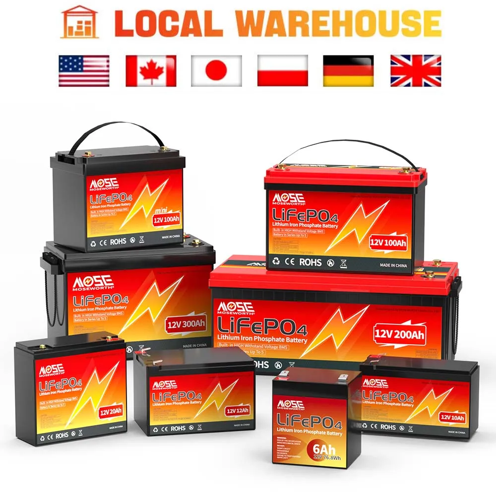 12V 24V 36V 48V 50Ah 100Ah 200Ah 300Ah LiFePO4 Lithium Battery Pack with BMS For RV Marine Solar System Boat Lithium Battery