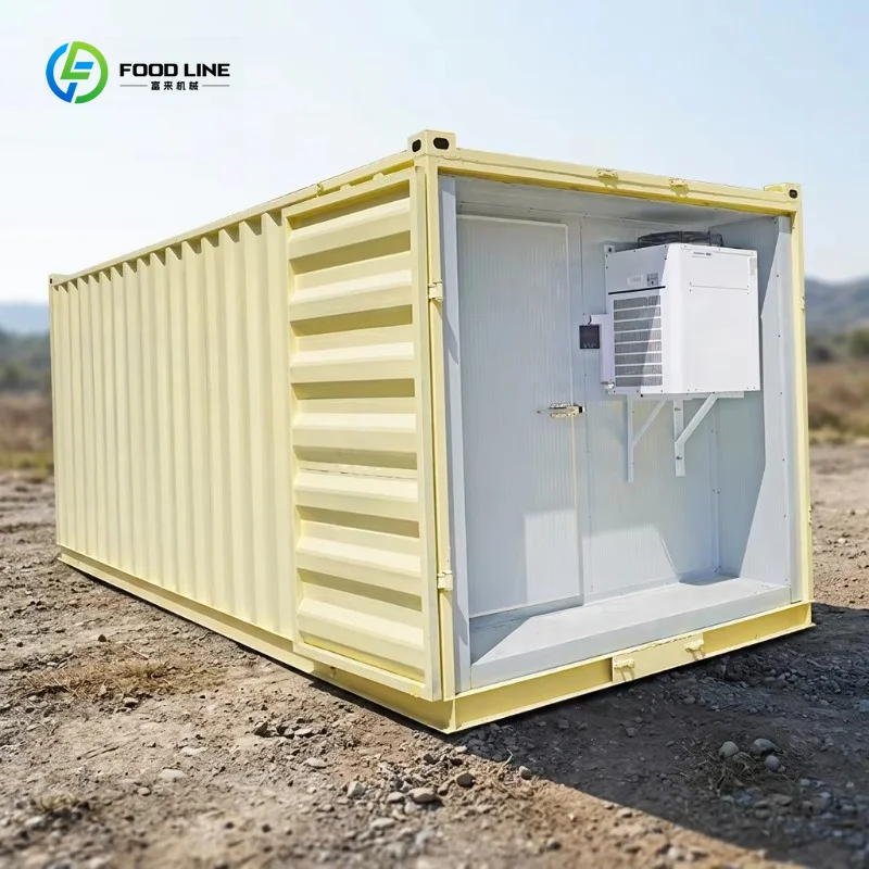 Solar Walk in Freezer Container 20ft 40ft SANYE Eco Friendly Refrigerant Fruit Vegetable Storage Commercial OEM Customized
