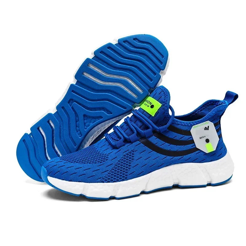 RoyalBlue