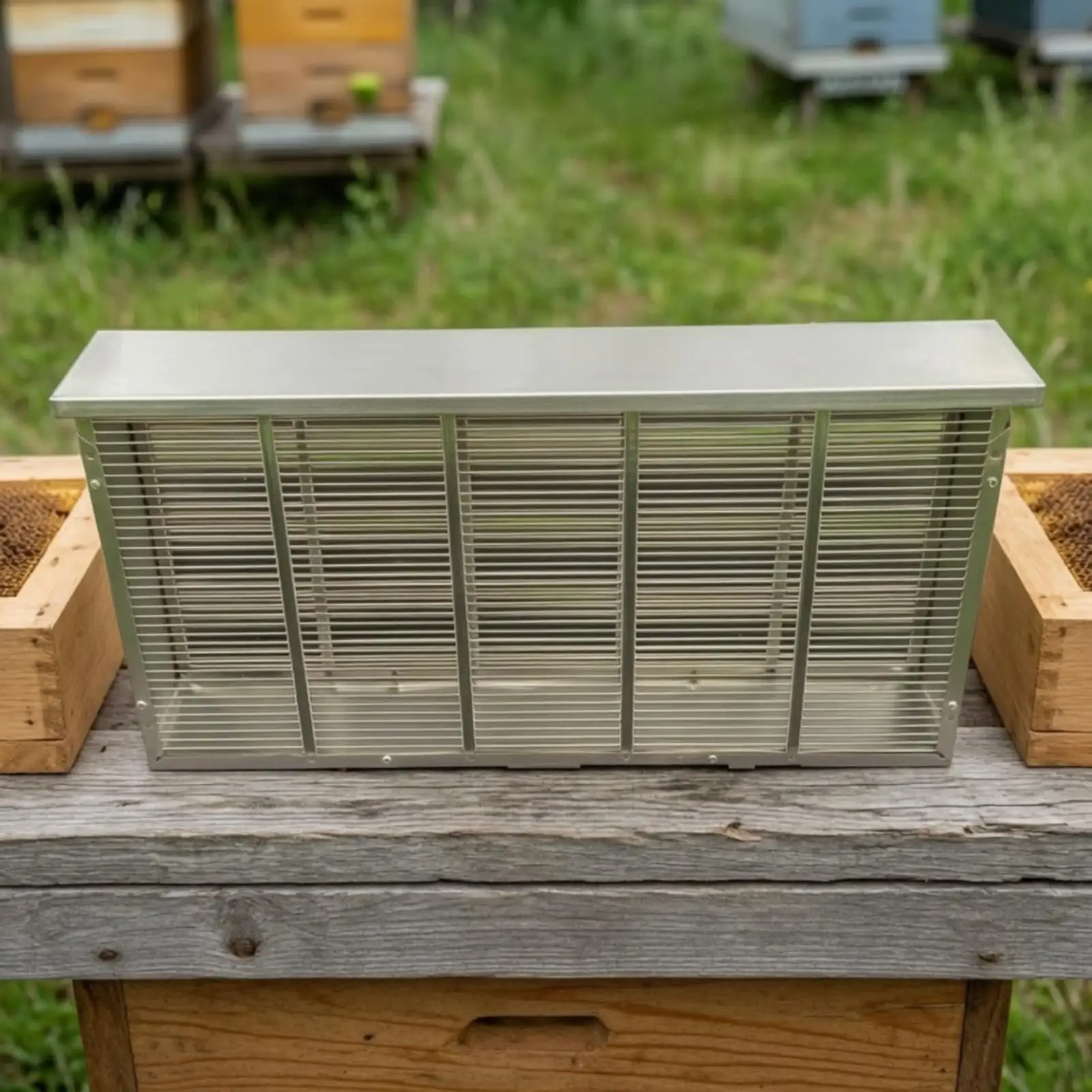 Queen Egg-Laying Control Cage Ventilated Beekeeping Equipment for Beekeepers, Colony Maintenance