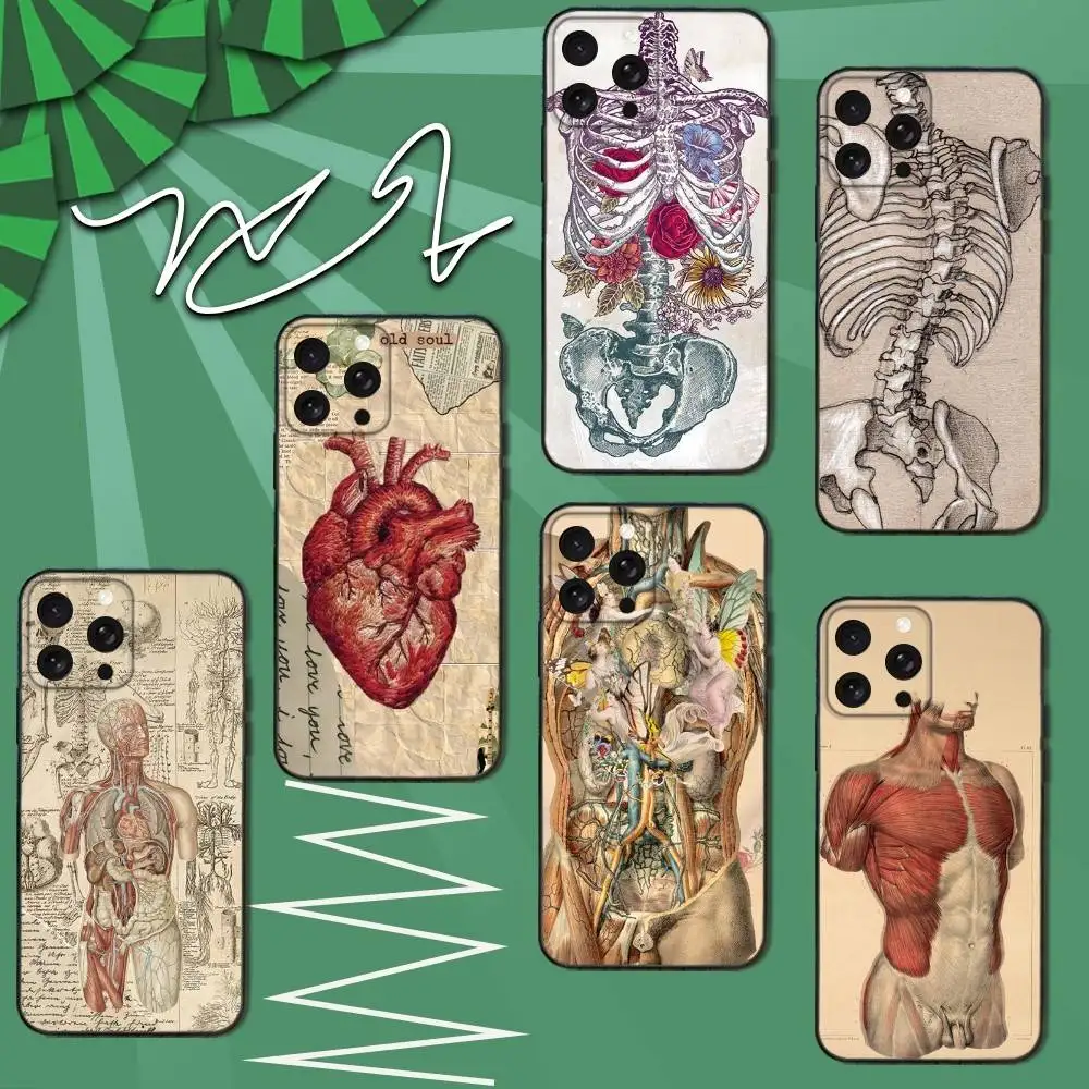 

Anatomy HumanS M-MedicalS Phone Case For iPhone 12,13,14,11,12,17,16,15,Plus,Pro Max,XS,X,XR,SE,Mini,Soft Silicone Black Cover