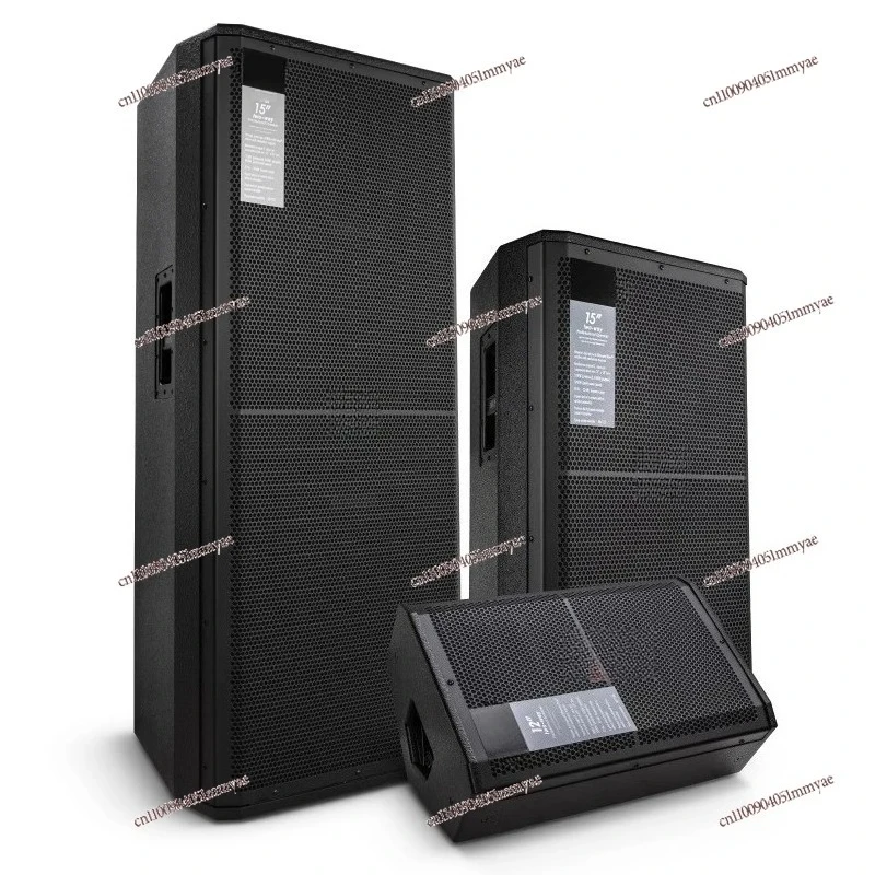 

Performance Single and Double 15-inch High-power Wedding Bar Conference Room Audio Set